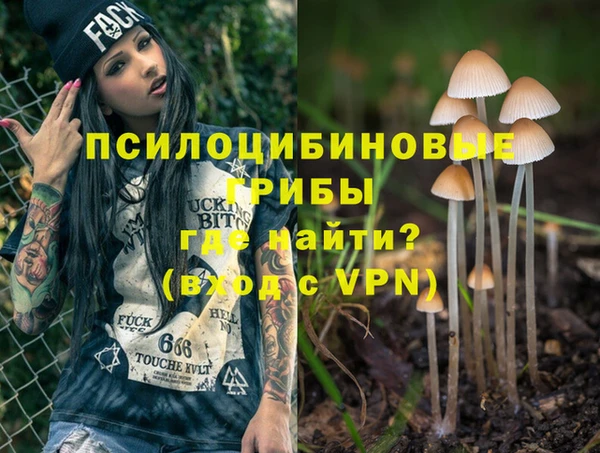 COCAINE Богородск