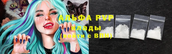ешки Богданович