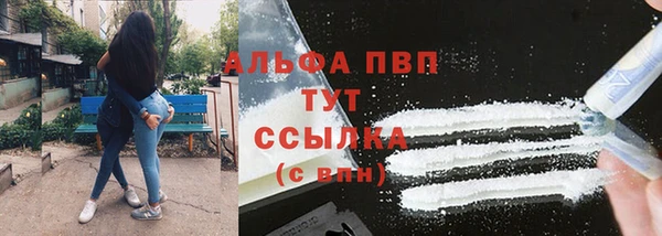 ешки Богданович