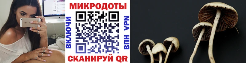 Псилоцибиновые грибы MAGIC MUSHROOMS  где купить наркотик  площадка какой сайт  Красновишерск 